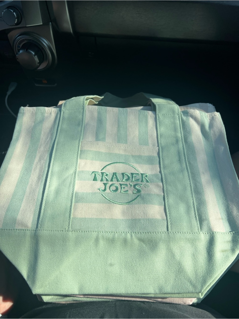 Trader Joe's Striped Canvas Mini Tote Bag in Mint NWT